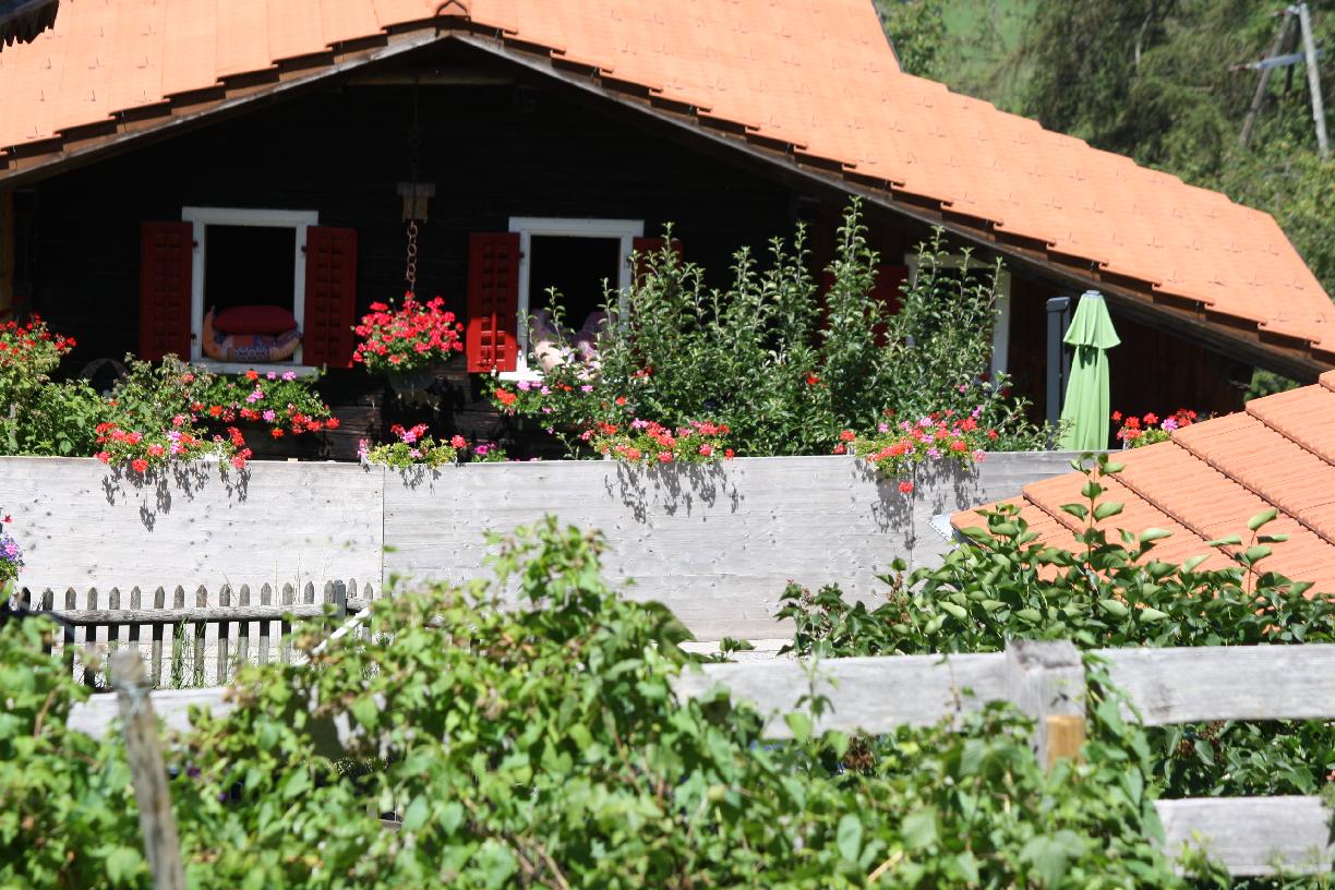 PRADEN_Wolkentheater_Teatr_Chmur_Teatro_de_Nuboj: PRADEN 272